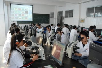 培训大麦娱乐与多特蒙德续约官方合作