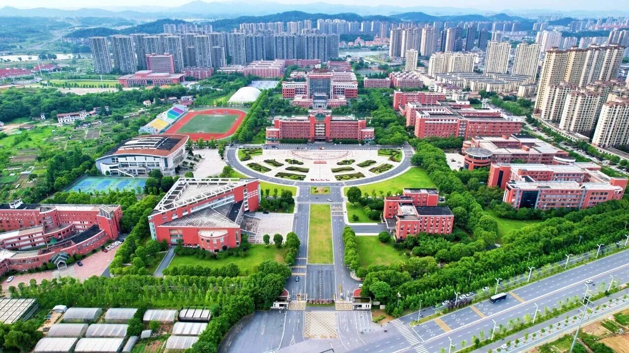 可先确认当前栏目名称